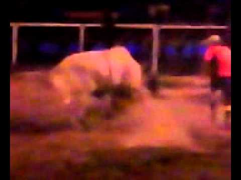 Kleiton falanqui x favelado