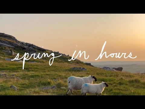 Florist - Spring in Hours (Official Music Video)