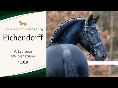 EICHENDORFF v. Espresso - Veneziano