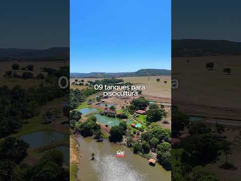 Linda Fazenda à venda – 45 km de Goiânia, 36,9 alqueires (178,6 ha) #fazenda #agro #fazenda
