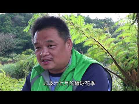 居民小力量 打造湖田農業新村