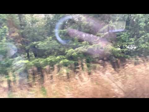 Arriving at Ely passing the HST graveyard