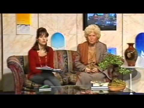 Documentario De Giorgi senza riflessione finale