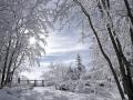 Antonio Vivaldi : The Four Seasons, Op. 8/4, RV 297, "Winter"
