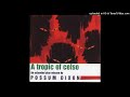 Possum Dixon-Emergency's About to End "Acoustic"