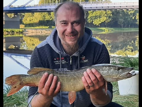 lov dravců na labi, test boilies s osobáčkem z labe, týdenní výprava září 2021