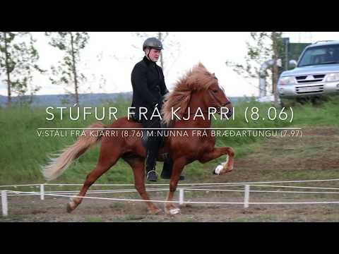 Stúfur frá Kjarri