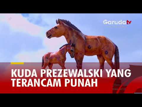 , title : 'Mengenal Kuda Prezewalski yang Terancam Punah'