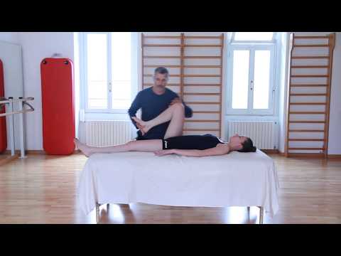 Dolore nelle articolazioni dellanca durante il secondo trimestre di gravidanza Operazione sulle articolazioni delle gambe nei cani