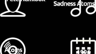 Pete Namlook - Sadness Atoms