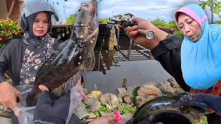 Download lagu EMAK-EMAK SYOK!! Bahagia dikasih ikan BESAR hasil dari spot gak masuk akal! mp3