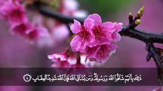 تلاوة من سورة الحشر من المصحف المرتل بصوت الشيخ د. محمد حسان image