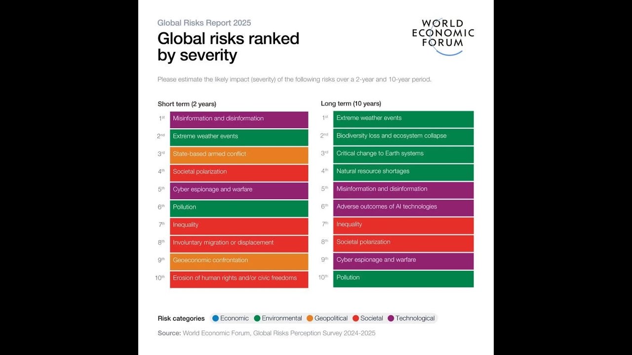 Global Risks Report 2025 By @wef