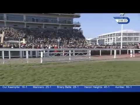 Might Bite Rsa Novices' Chase 2017