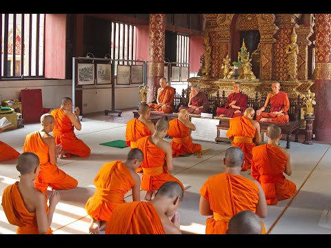 ???????? MEDITACIÓN Monjes Tibetanos con Mantra OM ☯️ a 432 Hz, la Frecuencia de DIOS ???????????? ... [108 veces]