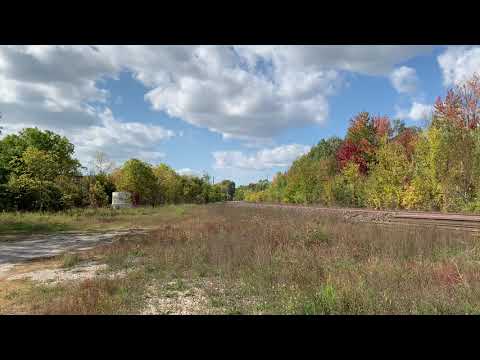 F55 Returns From Omya. Lots Of Horn!