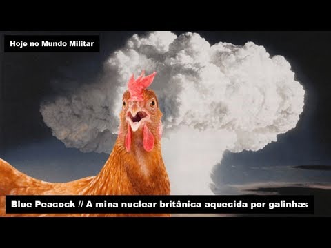 , title : 'Blue Peacock, a mina nuclear britânica aquecida por galinhas'