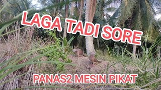 Download lagu PANAS2 PIKAT MUSIM HUJAN...KASI HANTAM BL CELIR RACIK... mp3