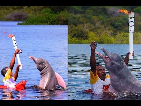 tombos e vexame com a tocha olimpica. Compilations fail  torch olympic Brazil 2016