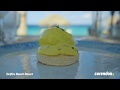 Delfins Beach Resort Bonaire Corendon