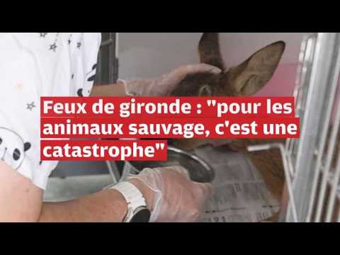 VIDEO. 