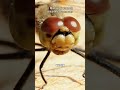 Why Dragonfly Is The Deadliest Predator!