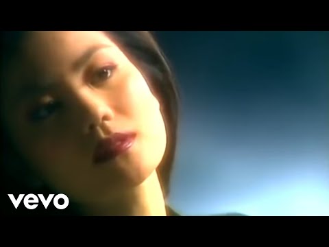 王菲 -《執迷不悔 (1993版，國語)》(Official Music Video)