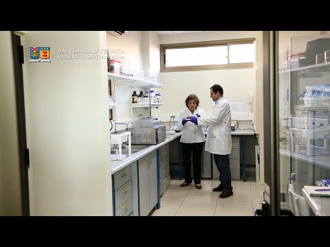 USM - Análisis compuestos volátiles  de la carne