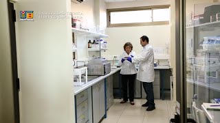 USM - Análisis compuestos volátiles de la carne