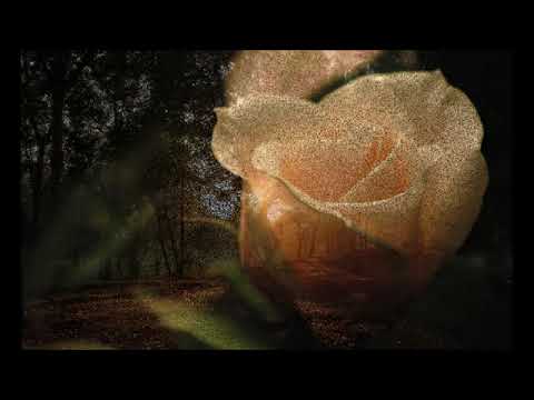 Kiss From a Rose  Klapa Kolapjani