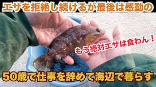 Download lagu I found this skinny guy at the fishing port, took him home and tried raising him. mp3