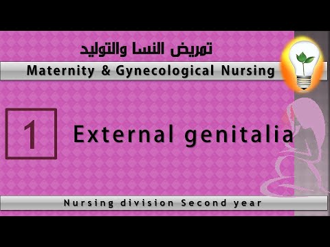 Maternity Nursing 1 Female reproductive system part 1 الجهاز التناسلي الأنثوي