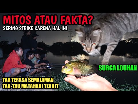 percaya-gak-percaya-kalo-pingin-strike-berkali-kali-lakukan-hal-ini-mancing-ikan-louhan-part-1
