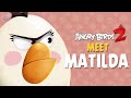 Angry Birds 2 Meet Matilda Explosive Spirit