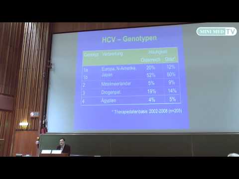 Hepatitis - MINI MED Studium mit Univ.-Prof. Dr. Rudolf Stauber