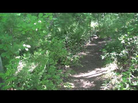 Clark's Pond Preview (Walpole MA)