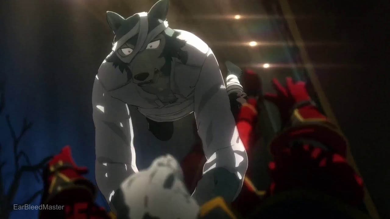 Legoshi doesn't forgive