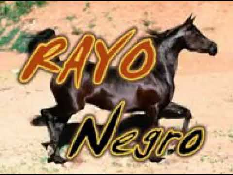 El Caballo Negro - Trobador Andino