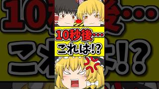 10秒後･･･猫も泣いて恐れるこのスイッチを押すとどうなる！？ #shorts #博麗霊夢 #ゆっくり茶番劇