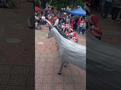 hoy día 6 de la novena en la plata huila