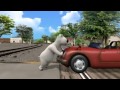 Bernard The Polar Bear He S Driving A Car