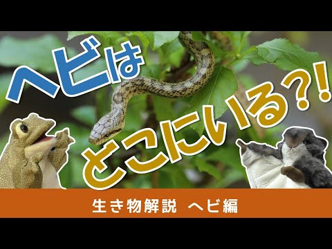 IUCN分類における絶滅の危険性を示す図。