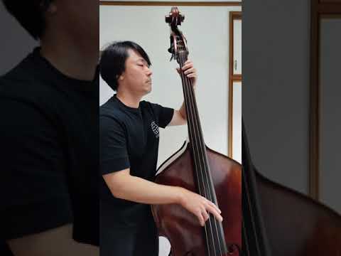 Bass Solo / With Jazz App Bassline "Ab Minor" (Double Bass Solo)