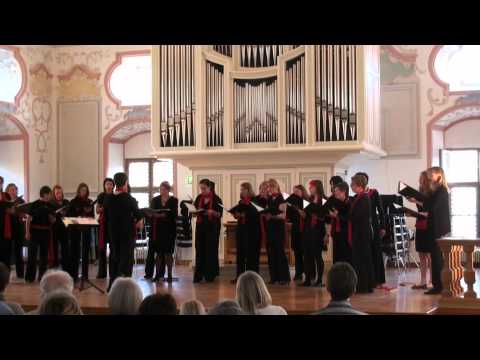 Ensemble La Gioia: "Ahi, que quest´occhi miei" (Giovanni Pierluigi Palestrina) - Burghausen 2011