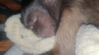 so this is what's new and some answers