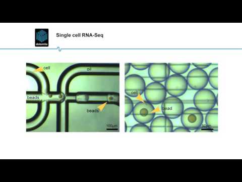 Single Cell RNA Sequencing (ARCHIVE)