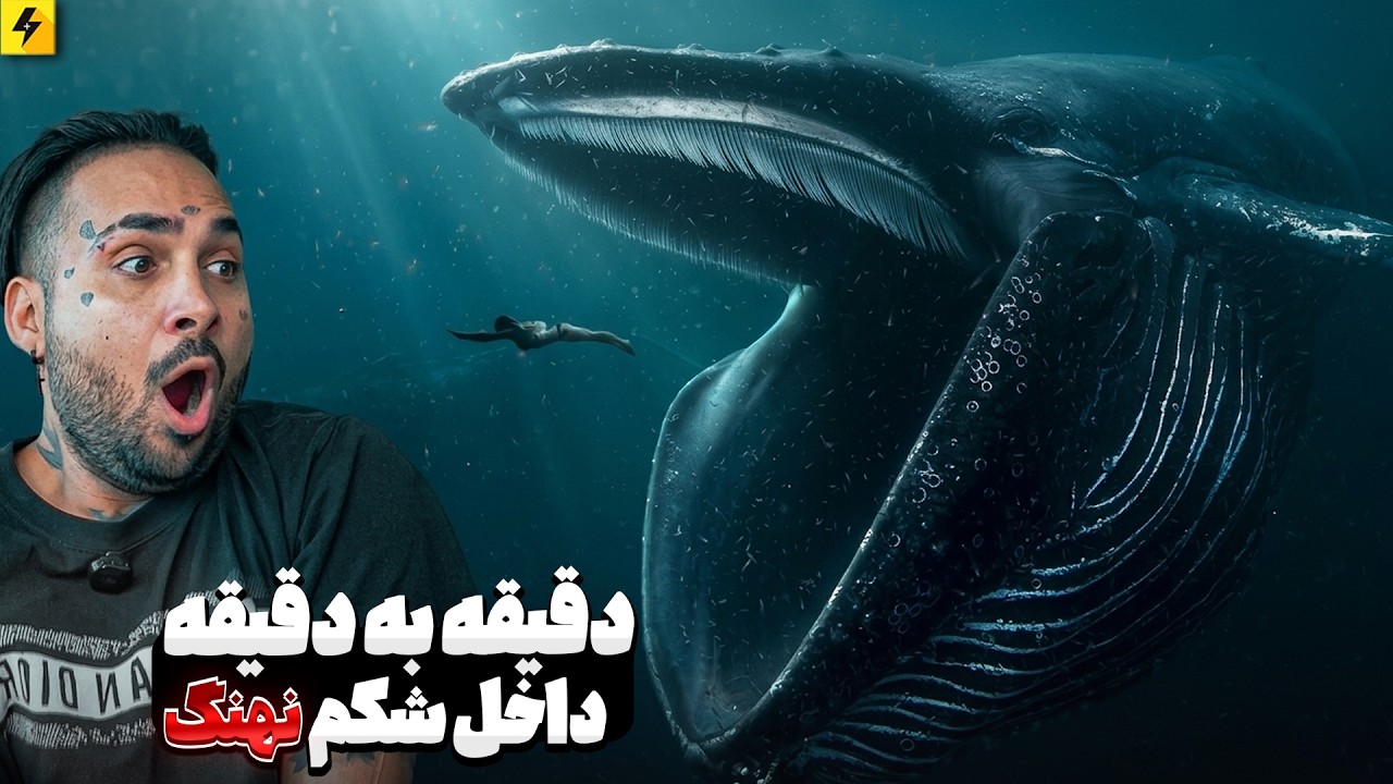 اگر نهنگ تو را ببلعد، چند دقیقه زنده می‌مانی؟ | دقیقه‌ به دقیقه  ی داخل شکم نه