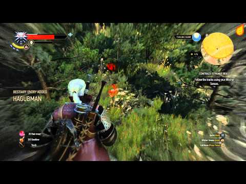 The Witcher 3: Contract: Strange Beast - Quest Walkthrough