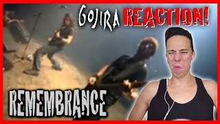 Gojira   Remembrance Live ( Reaction and Review )