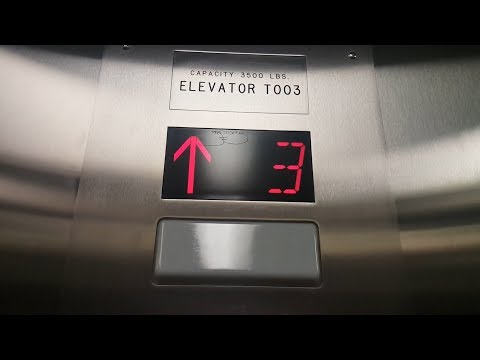 Dover Traction Elevator @ Elliott Hall - U of M - Minneapolis, MN